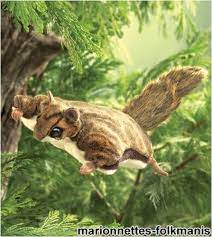 Folkmanis Puppet Flying Squirrel By Folkmanis 12 19 Flying Squirrels Do Not Really Fly But Glide After Leaping From T Flying Squirrel Squirrel Hand Puppets
