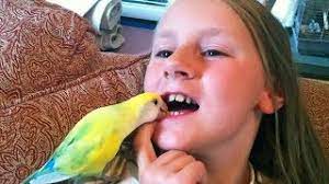 Maybe you would like to learn more about one of these? Most Creative Ways To Pull Teeth Funny Kids Fails Compilation Youtube