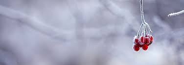 Obituary for Nell Byrd Ralph