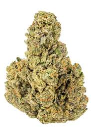 Im freien angepflanzt können ab oktober die buds geerntet werden. Best Marijuana Strains For Summer 2021