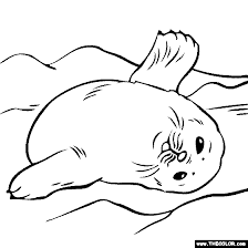 The rear fins are stronger and are used for swimming in water, friends. Baby Seal Coloring Page