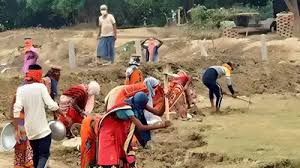 MNREGA Work