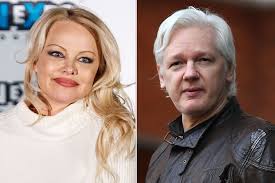 She is best known for her numerous appearances in playboy magazine and for her work. Pam Anderson Tweets About Missing Julian Assange