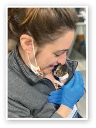 Tabatha Rowe's Instagram, Twitter & Facebook