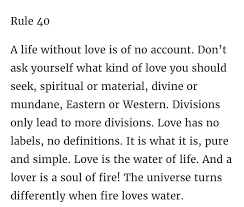 Rule Number 40 The Forty Rules Of Love Inspirational Quotes Forty Rules Of Love Love Rules Rumi Love Quotes