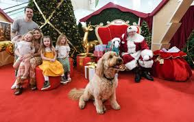 Most phones have a delayed photo setting on them nowadays. Pet Santa Photos