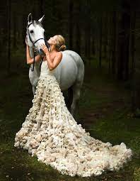 Check spelling or type a new query. Hochzeitsfotos Mit Pferden Die Schonsten Pferdebilder Aller Zeiten Hochzeit Zenideen Hochzeitsfoto Pferd Kleid Hochzeit Schone Brautkleider