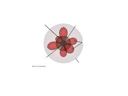Relative dating is used to determine a fossils approximate age by comparing it to similar rocks and fossils of known ages. Atomic Timeline Radioactive Decay Atomic Theory Atomic Theory Diagram Quizlet