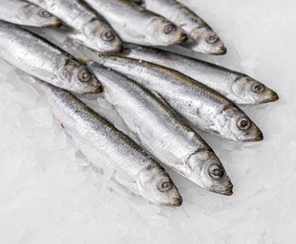 Buy Whole Sardines Online - 1kg bag - Bradley's Fish