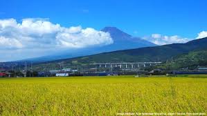 Japan S Food Security Problem Increasing Self Sufficiency In Traditional Food By Indrastra Indrastra Global Medium