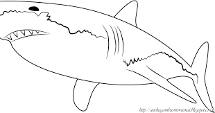 Download gratis mewarnai gambar ikan,cek koleksi terbaik kami dan download gratis. 88 Gambar Ikan Hiu Mewarnai Gratis Terbaru Gambar Hewan