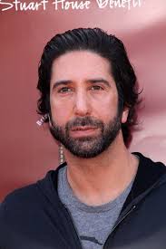 David Schwimmer editorial stock photo. Image of annual