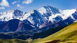 Tibetan plateau travel is a travel agent based in kham tibet, provide best services to friends from corners. Subtropical Forests Once Existed On The Qinghai Tibet Plateau Study Cgtn