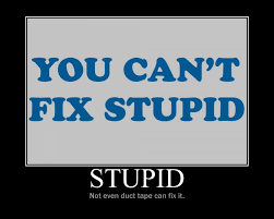 You can't fix stupid, — w. Quotes About Stupid Brother 32 Quotes