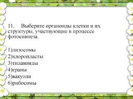 Metabolizm Processy Vidy Obmena Veshestv Prezentaciya Onlajn