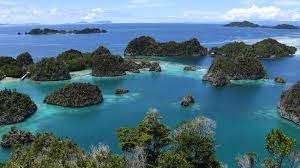 Secara administrasi, gugusan ini berada di bawah kabupaten raja ampat, provinsi papua barat. Ratusan Bintang Laut Berduri Di Raja Ampat Papua Dimusnahkan