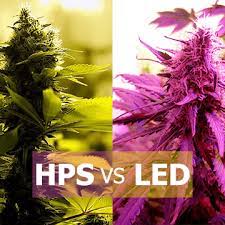 Led grow lights vs mh hps. Is Led Planting Light Better Than Hps Vanq Led
