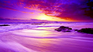 Pink Beach In Mexico Beaches Nature Background Wallpapers On Desktop Nexus Image 2355577