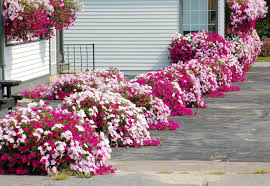 Front yard landscaping can be challenging when you have a small area to work on. 13 Flower Border Ideas