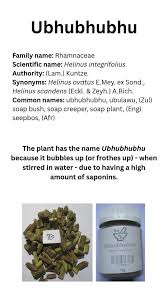 Image result for Helinus