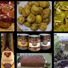 Here's a warming pie made with chestnuts, mushrooms and marsala wine. Chestnut Multiuses A Fresh Chestnuts B Roasted Chestnuts C Download Scientific Diagram