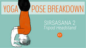 Maybe you would like to learn more about one of these? How To Do Tripod Headstand Benefits Yoga Pose Tutorial Adventure Yoga Online