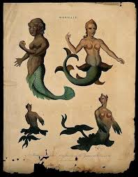Many pictures of lasirn show her with a comb and mirror, as well as a trumpet, or symbol of the siren. Mermaid Sightings Throughout History Leave Us Wondering If We Believe It Or Not Battlefordsnow
