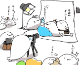 あざらしさん