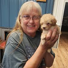 hello po ..Sam🐕😍🥰❤️ Margie Ibuyat Ramos #dogs #puppy #doglover #pets