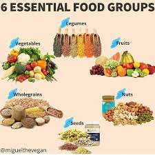 An autotroph is an organism that can make its own food for energy. 6 Essential Food Groups Vegan Teach Tag Your Friends Veganclassroom Vegannews Veganinfor Group Meals Raw Food Recipes Vegan News
