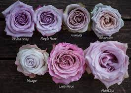 French dusty & burgundy are elegant color choices for fall and winter weddings! The Lavender Purple Rose Study Flirty Fleurs The Florist Blog Inspiration For Floral Designers