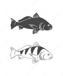 Download Black Drum Fish For Logo Or Print Fishing Sport Logo 148366971 Larastock