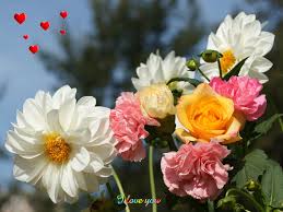 25 Beautiful Flower Wallpapers For Your Desktop Flower Pictures Our floral photography provides you with a diverse variety of flowers ranging from beautiful red roses to colorful tulips to graceful orchids. design inspiration