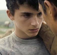 Timothée hal chalamet was born in manhattan, to nicole flender, a real estate broker and dancer, and marc chalamet, a unicef editor. Timothee Chalamet As Young Tom In Interstellar Dir Christopher Nolan 2014 Timothee Chalamet Christopher Nolan Hot Dudes