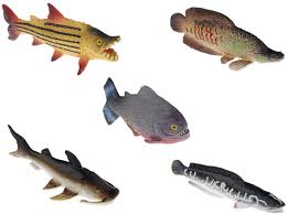 Now there are apps tha. Buy River Monster Collection Toy Fish Set Piranha Toy Fish Cake Topper Fish Figurines Toy Catfish Toy Arapaima Goonch Catfish River Monsters Toy Fish Educational Fish Toys Online In Germany B0785qwfbw
