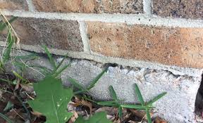 Fix concrete cracks in 8 steps. Which Type Of Foundation Cracks Are Most Serious Hd Foundations