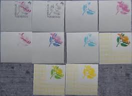 Image result for Protea argyrea