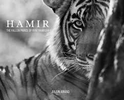 The astounding photo below, is part of facts about maple coffee table publishing which is listed within wooden, round tables, oval tables, and posted. How A Tiger Called Hamir Was The Inspiration For A Coffee Table Book