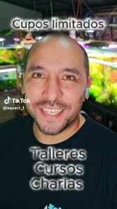 Acuario Happy Koi Costa Rica