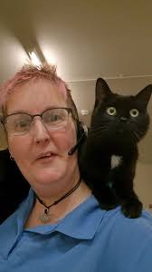 The Adventures of Polo, the Tavistock Cat' is now complete and has been  sent to the printer. Thank you so much to everyone who gave permission for  their photos to be used