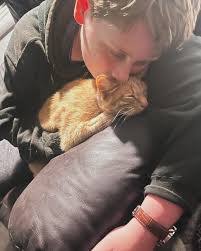 Kevin Seal's Instagram, Twitter & Facebook