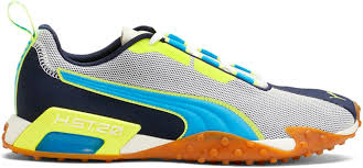 Image result for Puma 20