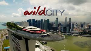 Select the subects you want to know more about on euronews.com. Asiasat Expands Top Quality News Offerings With Launch Of Channel Newsasia Hd On Asiasat 7
