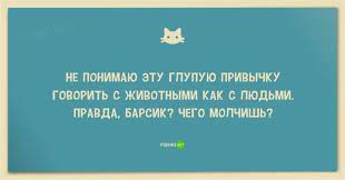anekdoty pro kotov smeshno shutki veselye memy