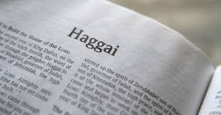 The book of haggai was written in approximately 520 b.c. Haggai Complete Bible Book Chapters And Summary New International Version