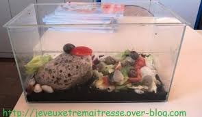 Epingle Sur Idees Jardin