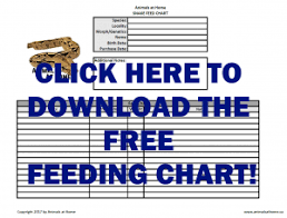 Animals At Home Snake Feed Chart Species Locality Morph