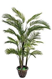 Positioned on patios, decking, driveways. Yatai Artificial Plants 2 1 Meters High Bamboo Palm Tree With Plastic Planter For Home Garden Decoration Fake Tree Fake Plants Amazon Ae Home