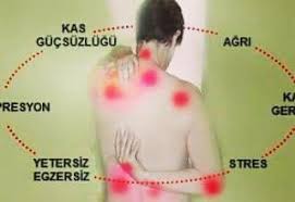 Başın arkası, omuz üstleri, üst göğüs, kalçalar, dizler ve dirsekler olarak bilinmektedir. Akutrans Hipnoz Ile Fibromiyalji Tedavisi Fibromiyalji Facebook