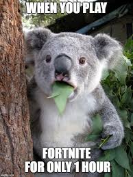 #theradcomrades #meme #memes #memesdaily #pubg #pubgmemes #fortnite #fortnitememes. Surprised Koala Meme Imgflip